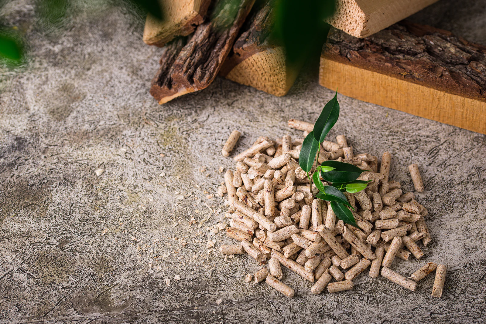 Öko-Brennstoff Holzpellets mit Brennholz